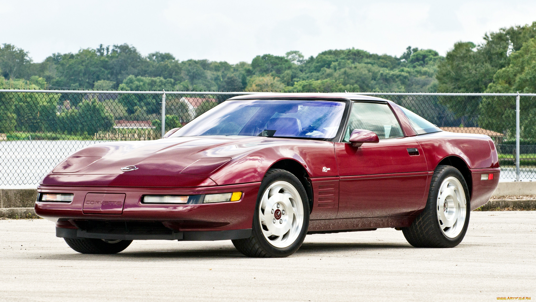 chevrolet corvette, , corvette, general, , chevrolet, , motors